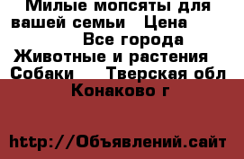 Милые мопсяты для вашей семьи › Цена ­ 20 000 - Все города Животные и растения » Собаки   . Тверская обл.,Конаково г.